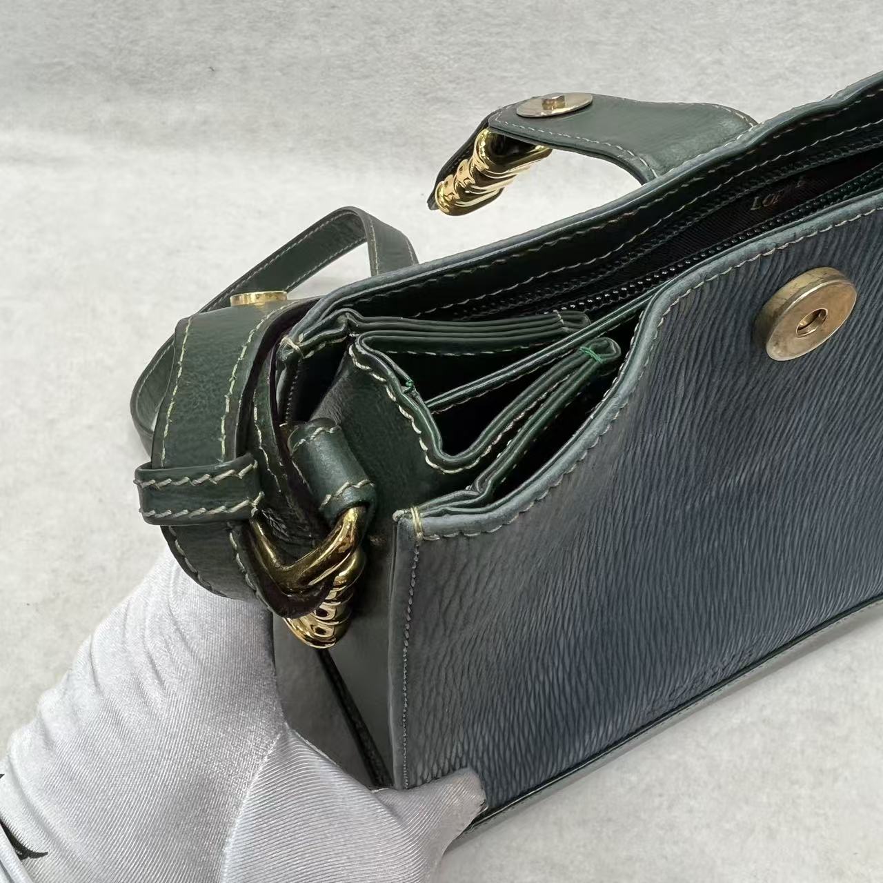 LOEWE Blue-Green Colorblock Snakeskin Crossbody Bag [Pre-Owned]