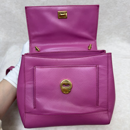 Salvatore Ferragamo Bow Handbag [Pre-Owned]