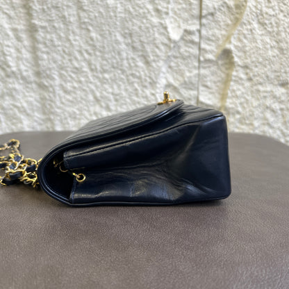 CHANEL Dianna Flag Bag [Pre-Owned]