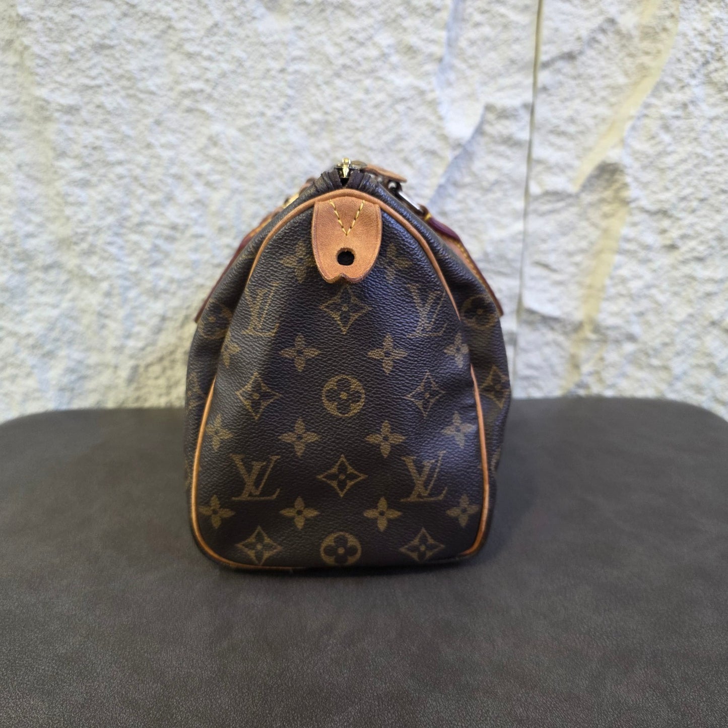 路易威登 Speedy 25 手袋 [二手]