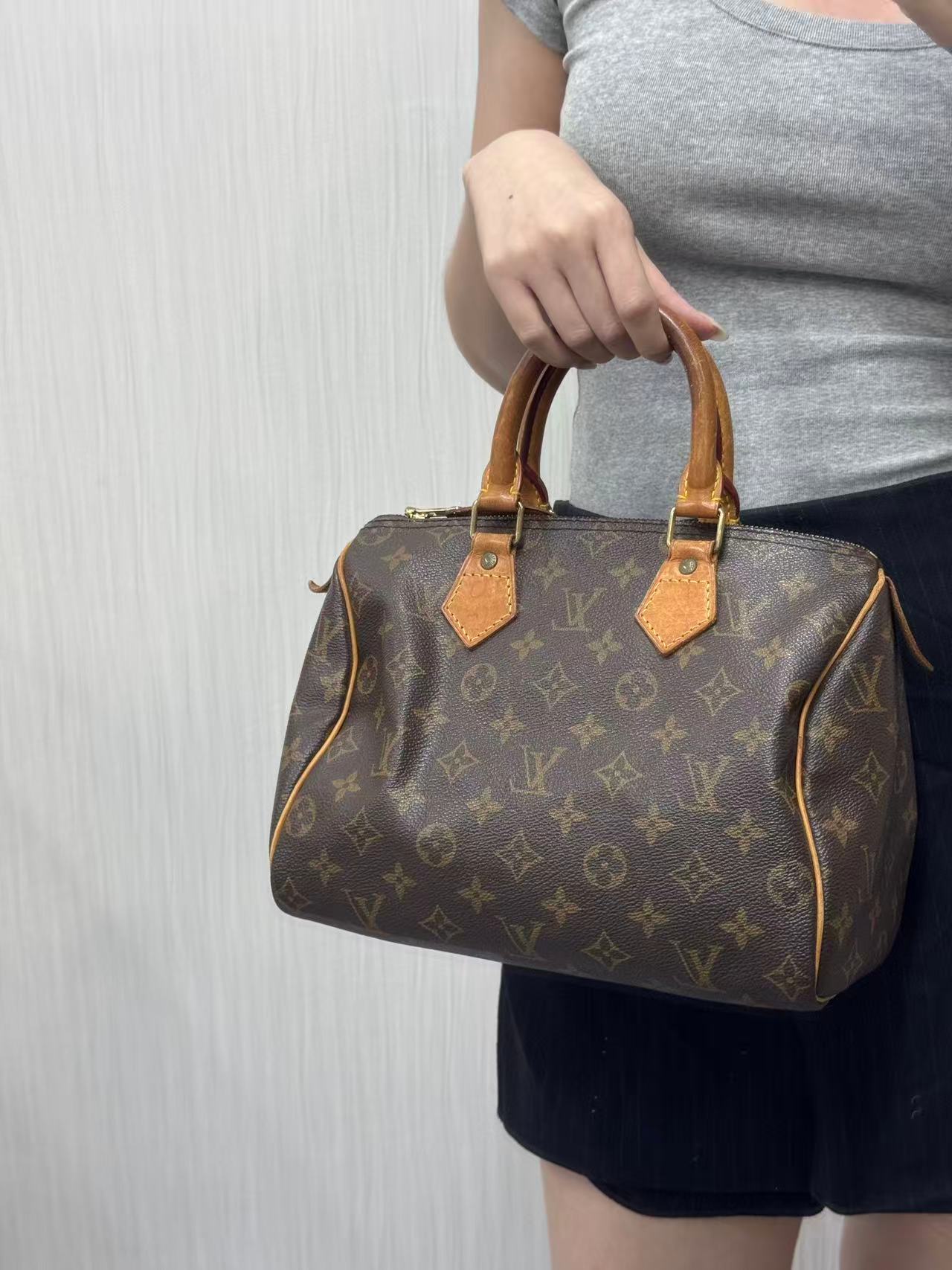 路易威登 Speedy 25 手袋 [二手]